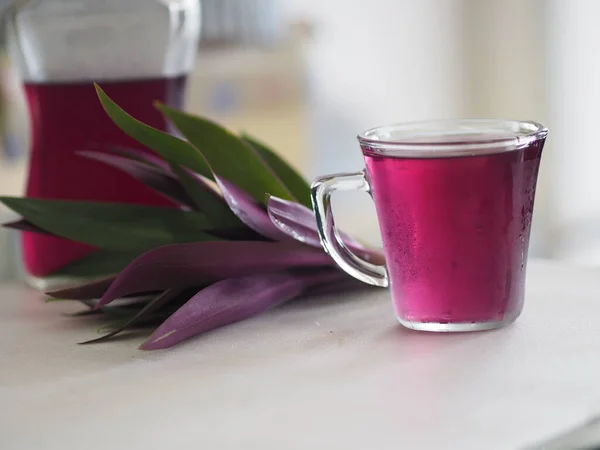 Tradescantia spathacea, Commelinaceae kenarındaki temiz cam damlacıklarda bulunan bitkisel sıvının sivri yaprakları uzun, mor renktedir.