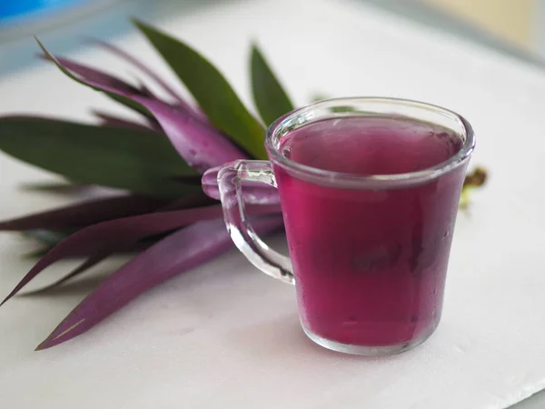 Jus Herbal Dalam Tetesan Kaca Jernih Sepanjang Tepi Tradescantia Spathacea — Stok Foto