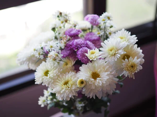 Гербера Квітка Фіолетовий Білий Колір Красивий Букет Білій Керамічній Пляшці — стокове фото