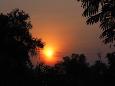 Sabah soyut siluet siyah çalılık turuncu ışık gökyüzünü bulutlandırıyor doğa arkaplanı