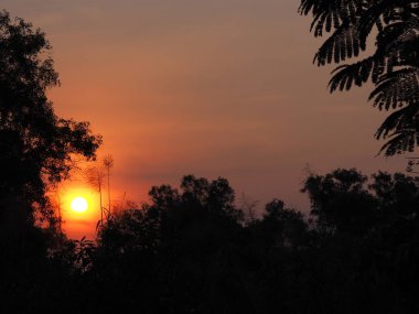 Sabah soyut siluet siyah çalılık turuncu ışık gökyüzünü bulutlandırıyor doğa arkaplanı