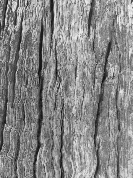 Верхний Вид Кора Дерева Рисунок Натуральной Текстуры Заусенца Поверхности Сердцевины — стоковое фото