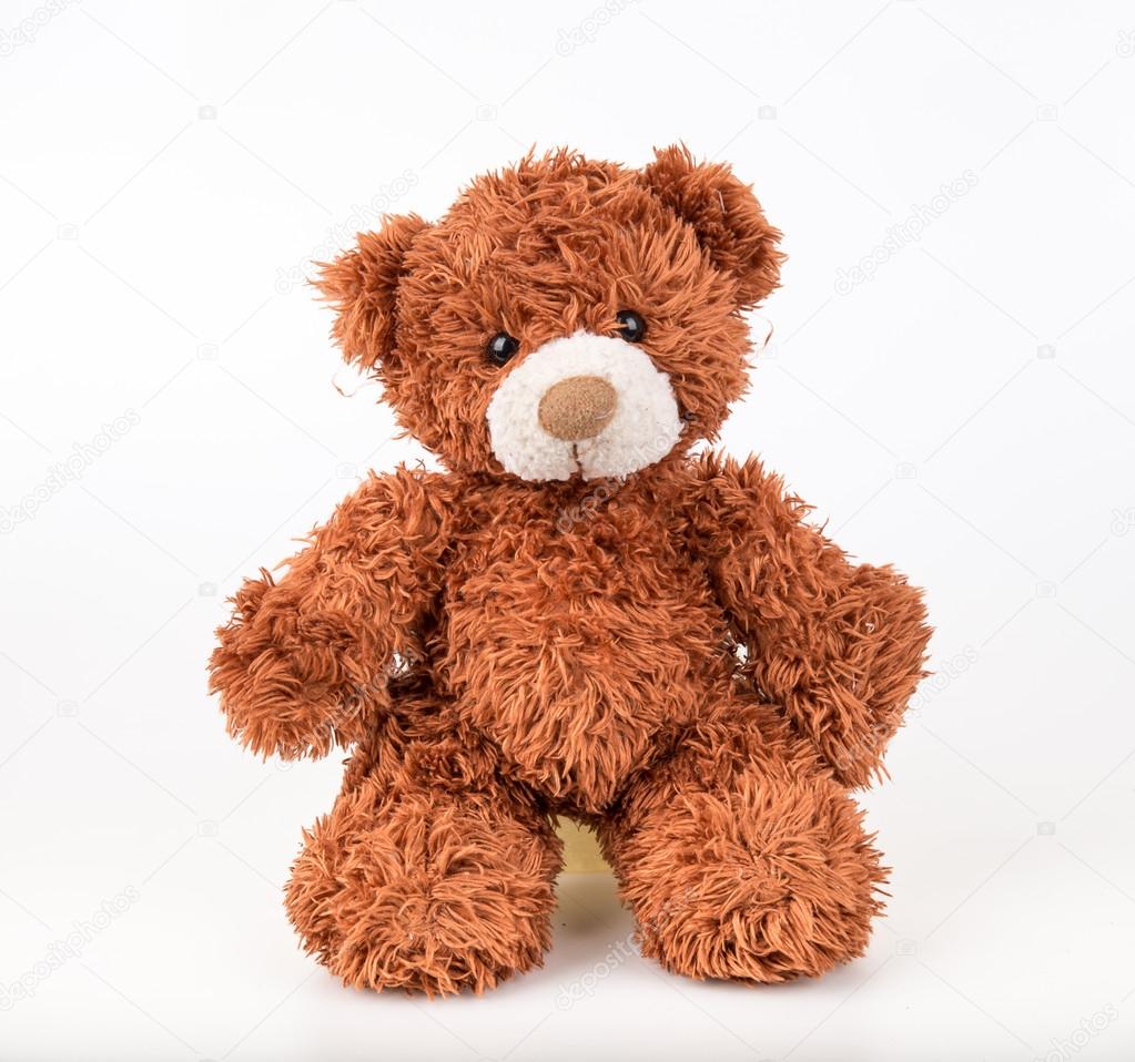 nice teddy bear photo