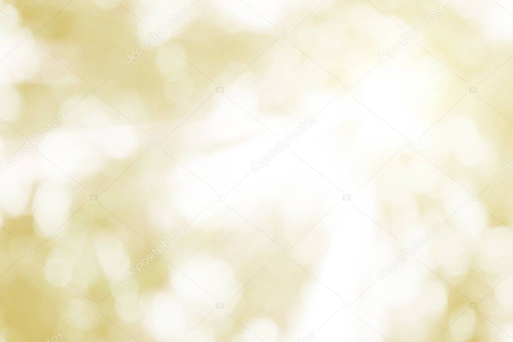 Bokeh leaf background. High resolution empty space concept for B