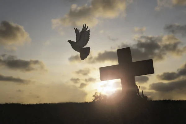 Siluet Mesih Çarmıha Gerilerek Çarmıha Gerildi Calvary Tepesi Nde Gün — Stok fotoğraf