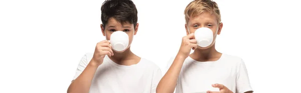 白で隔離されたカメラを見ながらコーヒーを飲んでいる二人の兄弟のパノラマ写真 — ストック写真