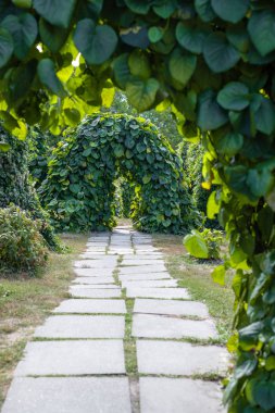 Yürüme yolunun seçici odak noktası ve parktaki bitkilerin kemerleri