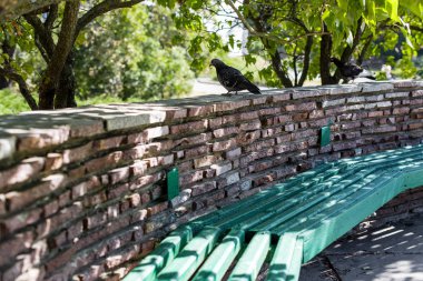 Parktaki banklar taş duvarda güvercinler