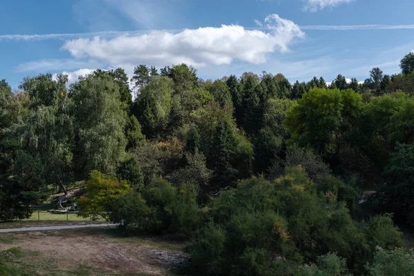 Parktaki Yeşil Orman Arkasında Bulutlar Olan Mavi Gökyüzü — Stok fotoğraf