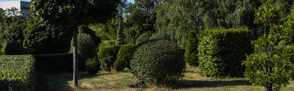 Trees and bushes on green grass in park, panoramic shot