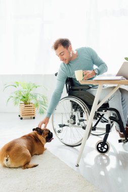 Engelli adam bardağı tutuyor ve buldog 'a uzanıyor.