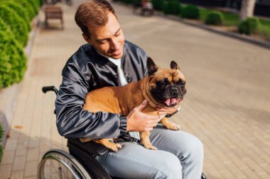 Tekerlekli sandalyedeki gülümseyen adam Fransız bulldog 'unu tutuyor.