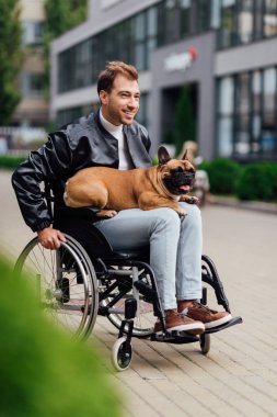 Gülümseyen engelli adam Fransız bulldog 'unu dizlerinin üstünde tutuyor.