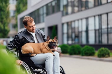 Gülümseyen engelli adam şehir caddesinde Fransız bulldog 'una bakıyor.