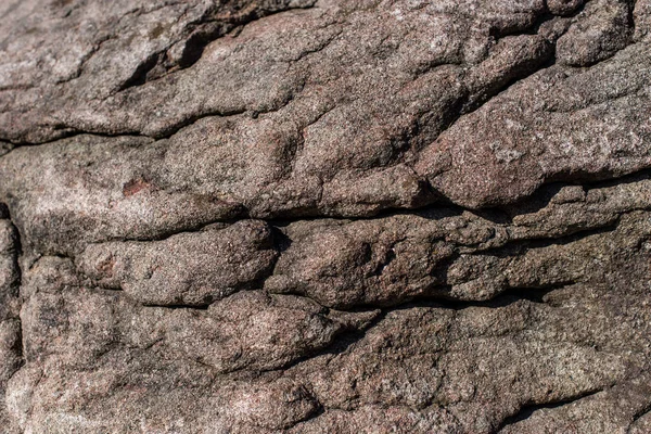 Close View Brown Stone Texture — Stock Photo, Image