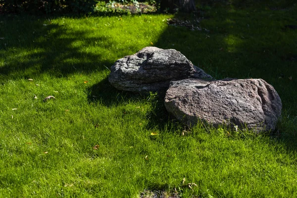 Dos Piedras Con Luz Solar Sobre Hierba Verde Césped —  Fotos de Stock