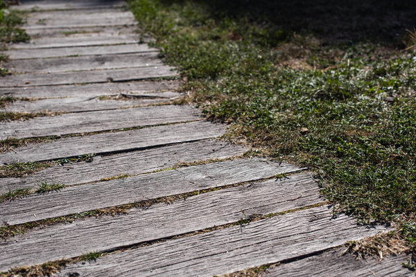 Walkway from wooden planks and green grass 