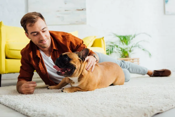 男人在客厅的地毯上爱抚法国斗牛犬 — 图库照片