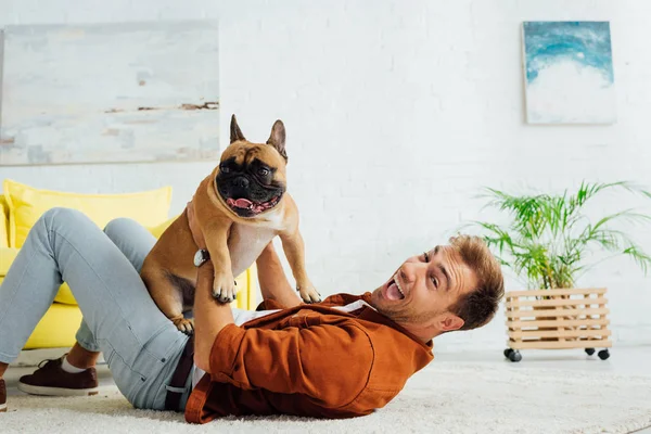 Lachender Mann Spielt Hause Mit Französischer Bulldogge Auf Teppich — Stockfoto