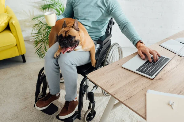 Cropped View Disabled Man French Bulldog Knees Holding Cup Working — Stock Photo, Image