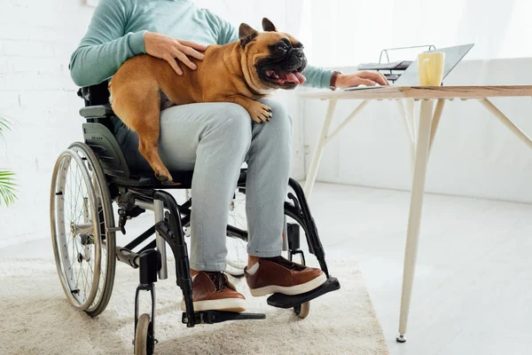 坐轮椅的男人跪着抱着法国斗牛犬和使用笔记本电脑的剪影 — 图库照片