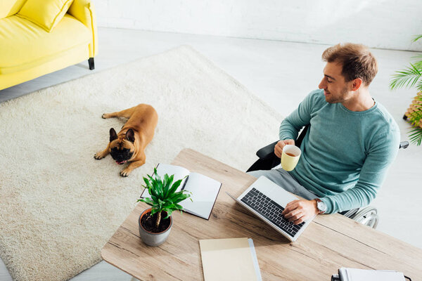 Smiling disabled man with laptop and cup looking on french bulldog in living room