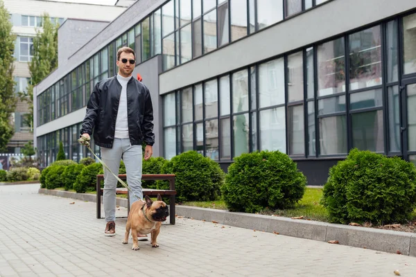 Beau Homme Promener Avec Bouledogue Français Laisse Long Rue — Photo