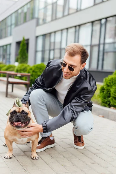 Bonito Homem Óculos Sol Acariciando Bulldog Francês Rua — Fotografia de Stock