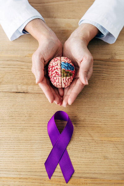 cropped view of doctor holding model of brain in clinic 