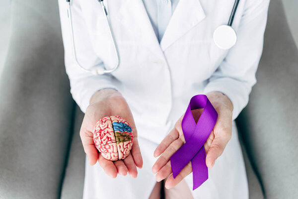 cropped view of doctor holding model of brain and purple ribbon 