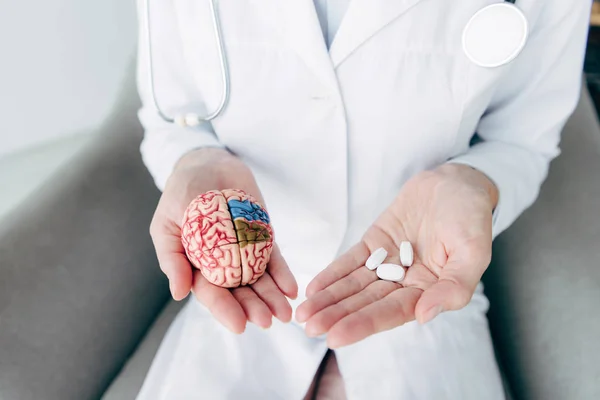 Vista Recortada Médico Sosteniendo Modelo Cerebro Píldoras —  Fotos de Stock