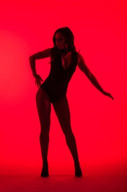 Kırmızıda soyutlanmış, baştan çıkarıcı, güzel bir genç kadının silueti.