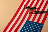 Zlatý slon se stínem na americké vlajce, koncept dobrých životních podmínek zvířat