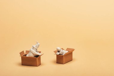 White toy hippopotamus and rhinoceros in cardboard boxes on yellow background, animal welfare concept clipart