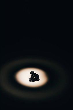 Oyuncak goril siyah arka planda sahne ışığı altında