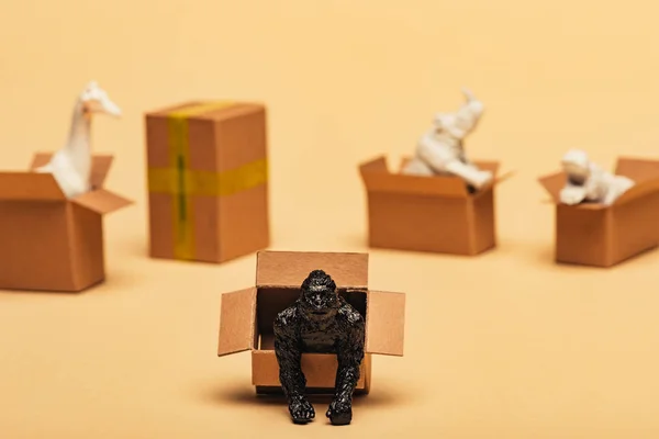 Selective Focus Animal Toys Cardboard Boxes Yellow Background Animal Welfare — Stock Photo, Image