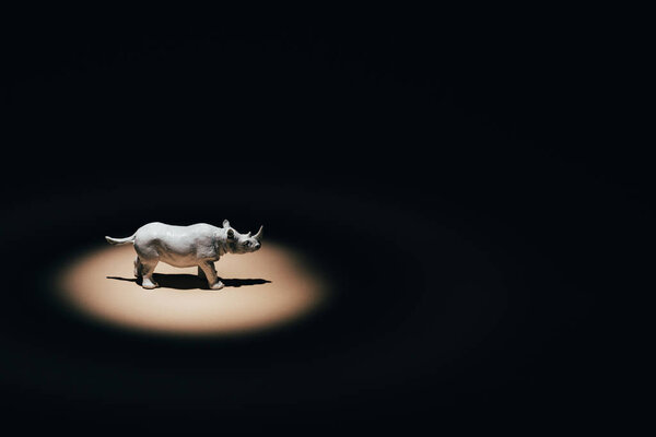 White toy rhinoceros under spotlight on black background 
