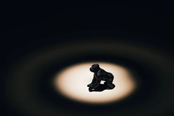 黑色背景聚光灯下的玩具大猩猩 — 图库照片