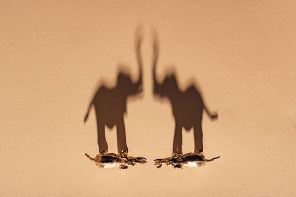 Top view of golden toy elephants with shadow on yellow background, extinction of animals concept