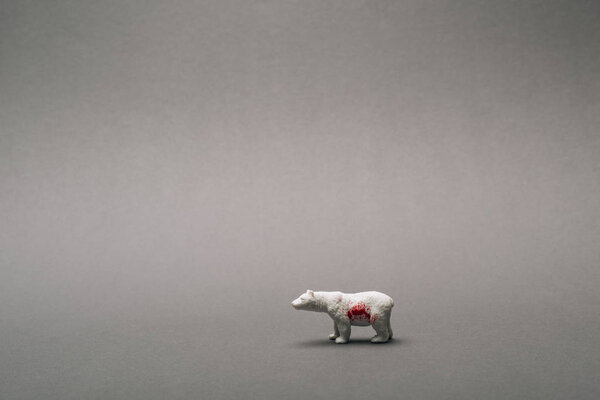 White toy bear with blood on grey background, killing animals concept