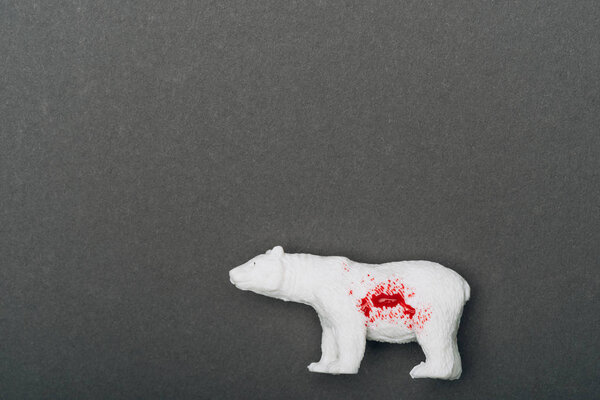 Top view of white toy bear with blood on grey background, killing animals concept
