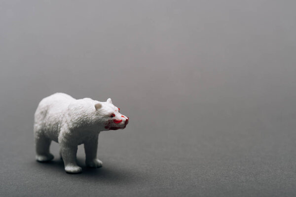 White toy bear with blood on grey background, killing animals concept
