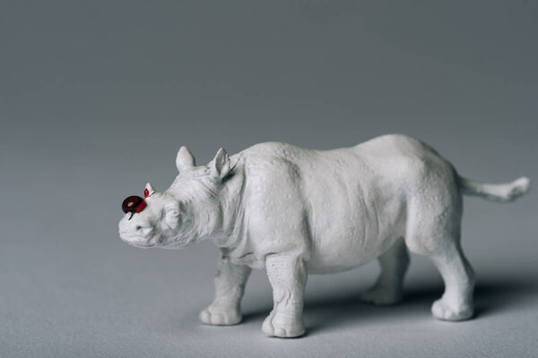 White toy rhinoceros with blood on grey background, hunting for horn concept