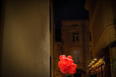 Bündel roter herzförmiger Festballons auf der nächtlichen Straße