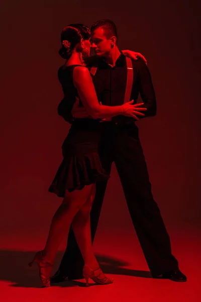 sensual couple of dancers performing tango on dark background with red illumination