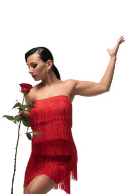 Beyaz üzerinde tango yaparken gül tutan etkileyici, şık bir dansçı.