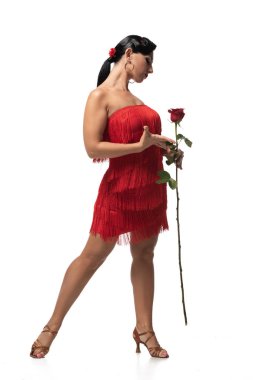 Güzel, şık bir tango dansçısı. Beyaz arka planda kırmızı gül taşıyan püsküllü bir dansçı.