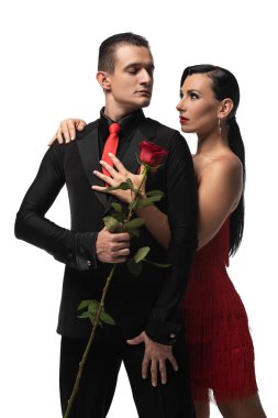Güzel tango dansçısı, sarılan partnerin elinde kırmızı gül beyaz üzerinde izole edilmiş.