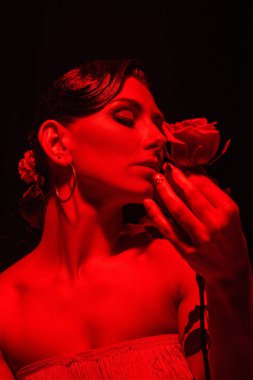 Koyu arkaplanda kırmızı gül tutan güzel bir tango dansçısı.