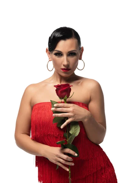 Piękny Zmysłowy Tancerz Tango Patrząc Kamerę Trzymając Czerwoną Różę Odizolowaną — Zdjęcie stockowe